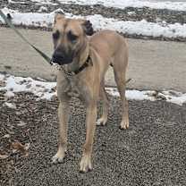 Thumbnail photo of Zahi Cyprus #1