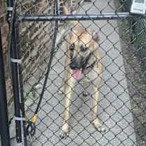 Thumbnail photo of Zahi Cyprus #2