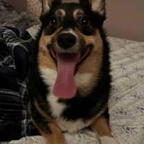 Thumbnail photo of Arlo #2