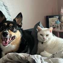 Thumbnail photo of Arlo #3