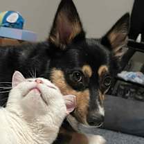 Thumbnail photo of Arlo #4