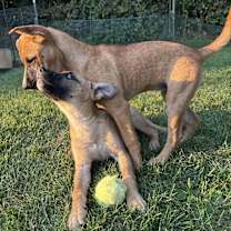 Thumbnail photo of Winnie #1