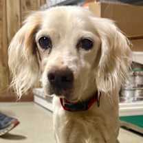 Thumbnail photo of Lady #1