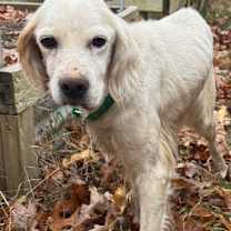 Thumbnail photo of Lady #4