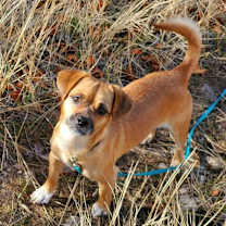 Thumbnail photo of Ripley #4