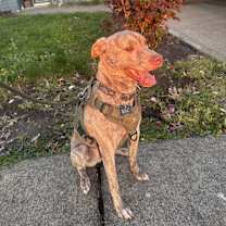 Thumbnail photo of Mac #1