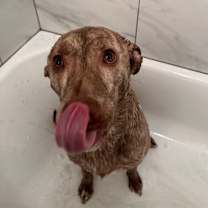 Thumbnail photo of Mac #3