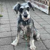 Thumbnail photo of Anny #1