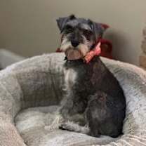 Thumbnail photo of Anny #2