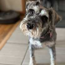 Thumbnail photo of Anny #3