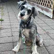 Thumbnail photo of Anny #4