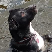 Thumbnail photo of Tucky #1