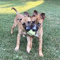 Thumbnail photo of Stevie #3