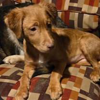 Thumbnail photo of Rolly #2