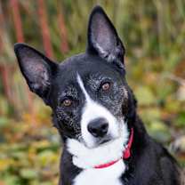 Thumbnail photo of Gigi Granita #1