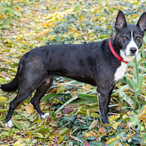 Thumbnail photo of Gigi Granita #2