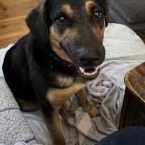 Thumbnail photo of Katrina #3