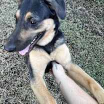 Thumbnail photo of Katrina #4