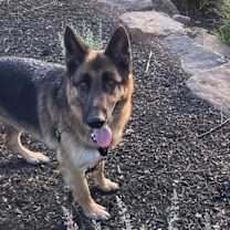 Thumbnail photo of Pablo #3