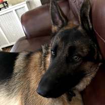 Thumbnail photo of Pablo #4