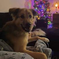 Thumbnail photo of Athena #3