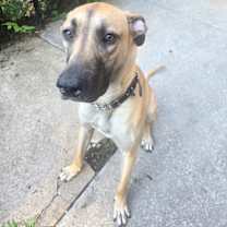 Thumbnail photo of Zahi Cyprus #3