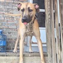 Thumbnail photo of Zahi Cyprus #4