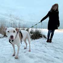 Thumbnail photo of Hank #2