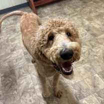 Thumbnail photo of Marty #1