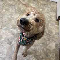 Thumbnail photo of Marty #3