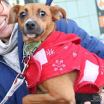 Thumbnail photo of Gigi #1