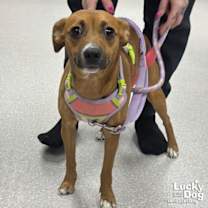 Thumbnail photo of Gigi #2