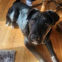 Thumbnail photo of Delaney #1