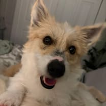 Thumbnail photo of MaCallister #1