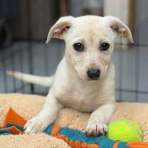 Thumbnail photo of BONNIE #4