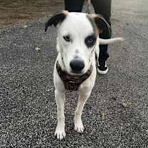 Thumbnail photo of Matthias #1