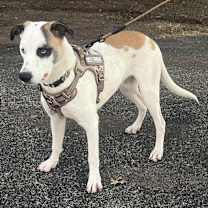 Thumbnail photo of Matthias #2