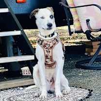 Thumbnail photo of Matthias #3