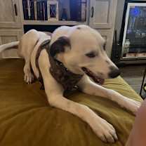 Thumbnail photo of Matthias #4