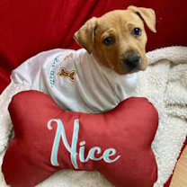 Thumbnail photo of Sadie #1