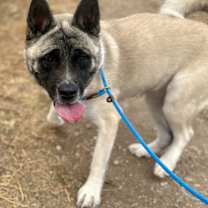 Thumbnail photo of Astrid #3