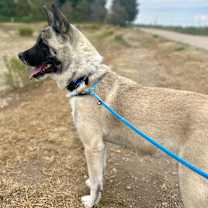 Thumbnail photo of Astrid #4