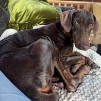 Thumbnail photo of MARY #2