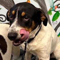 Thumbnail photo of Navy 25 #2