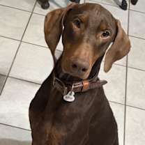 Thumbnail photo of MARY #1