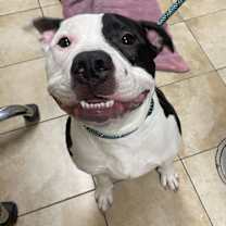 Thumbnail photo of Tapatio (mcas) #1