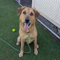 Thumbnail photo of TWIX #3