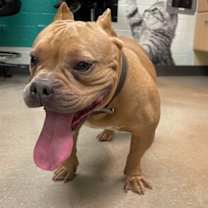 Thumbnail photo of Diva #3