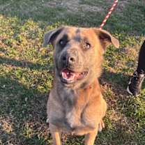 Thumbnail photo of Damion #2