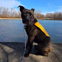 Thumbnail photo of Axle #3